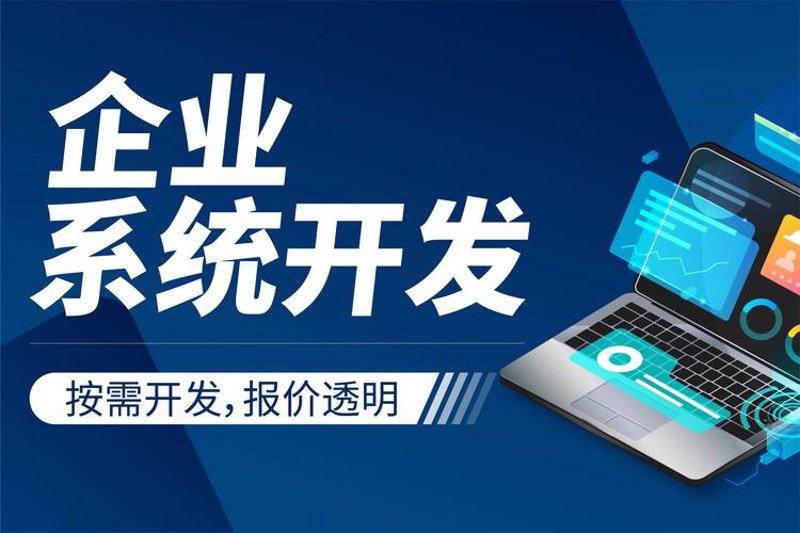选对软件定制开发服务，让企业更高效运转